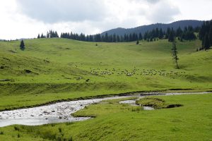 Rumunsko krajina