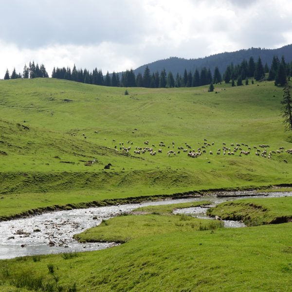 Rumunsko krajina