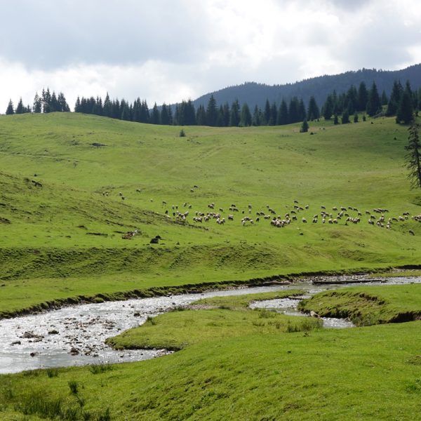 Rumunsko krajina