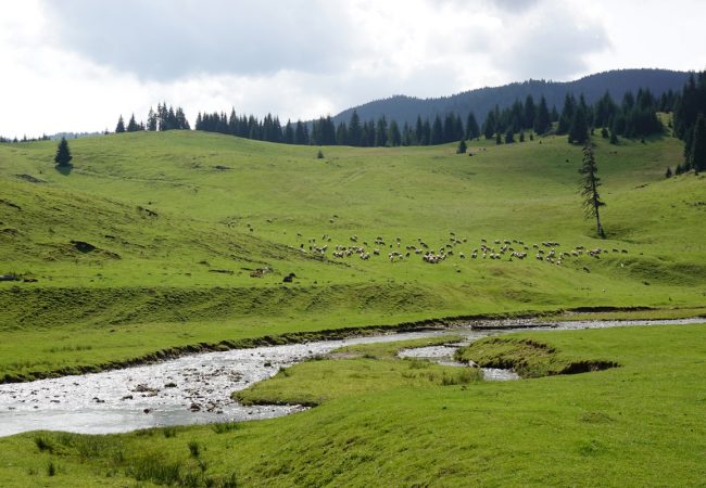 Rumunsko krajina